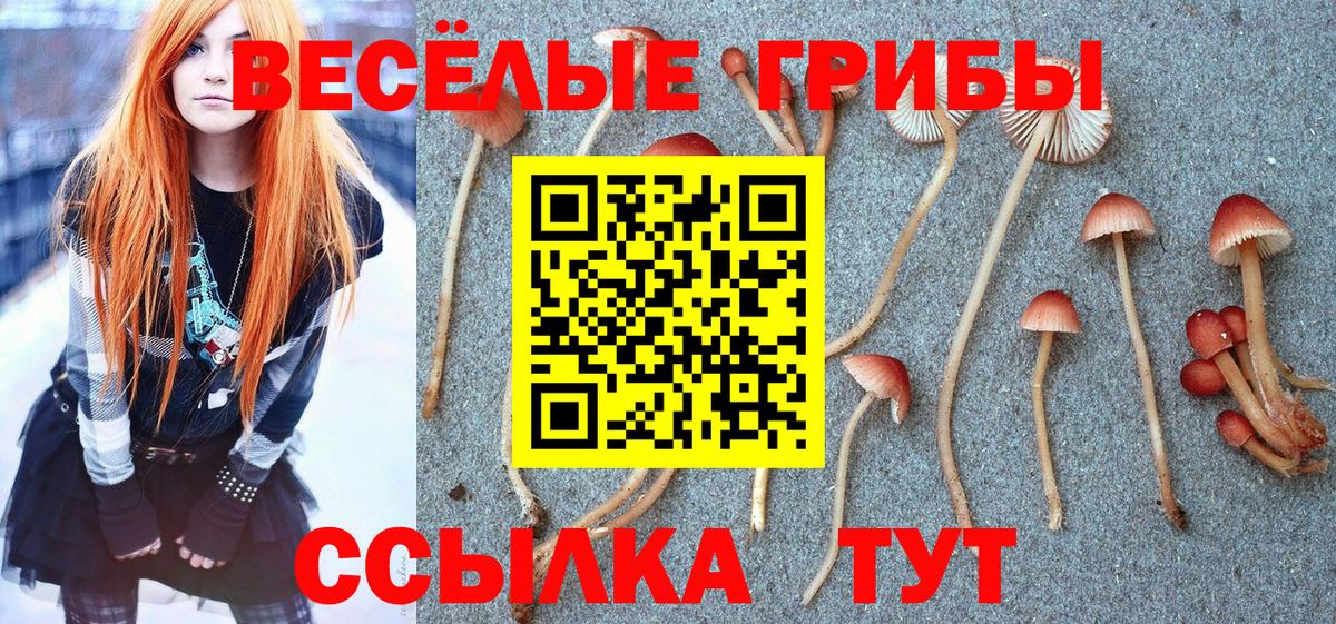 Галлюциногенные грибы GOLDEN TEACHER  Вход с VPN  цена наркотик  Прохладный 