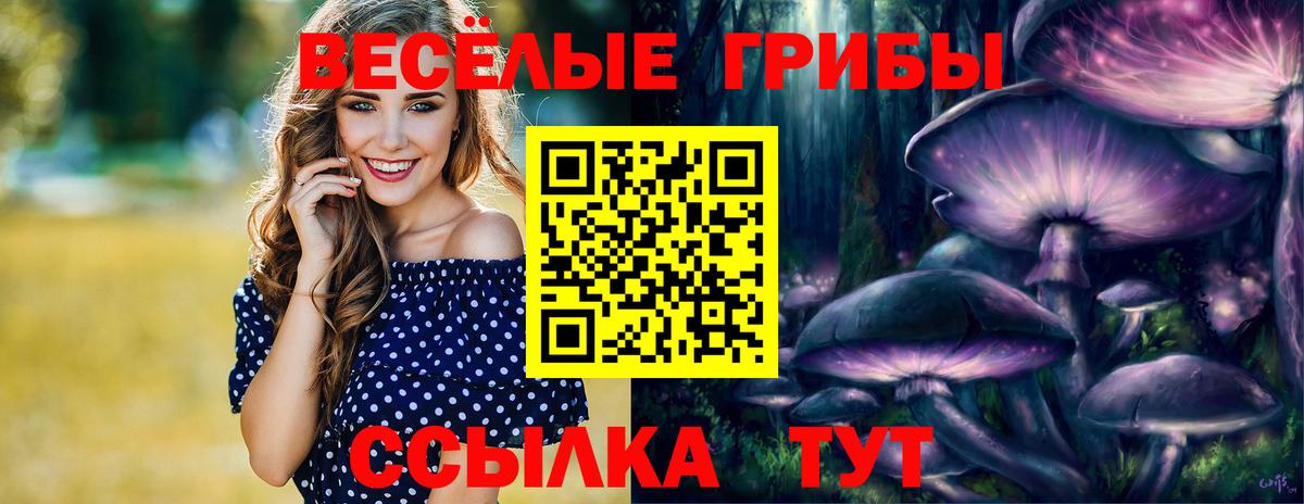 Галлюциногенные грибы мухоморы Прохладный
